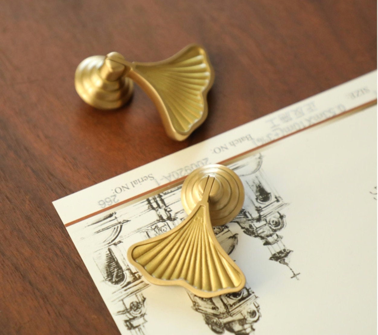 2PCS Solid Brass Ginkgo Knobs, leave drop knobs, DIY drawer dresser pulls, Furniture knobs, wardrobe Cabinet Knobs Furniture hardware