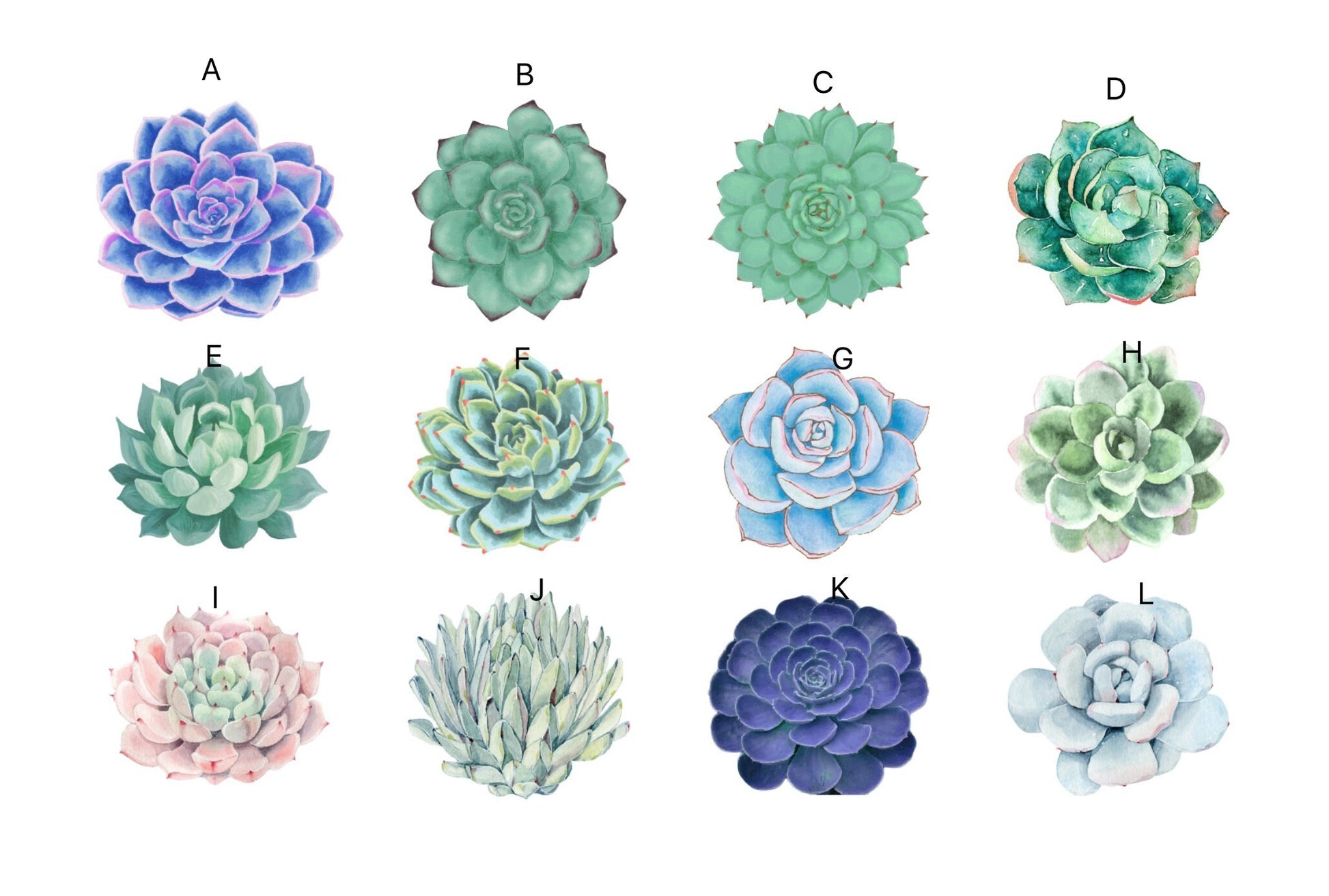 Plant ceramics drawer Handle Knobs/ greenhouse Cabinet handle knob/ Drawer handle knob/ Door pulls/ Wardrobe pulls/ Kitchen knobs